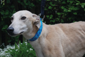 orsen_face_body180x188